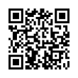 QR Code (код быстрого отклика)