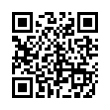 QR Code (код быстрого отклика)