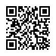 QR Code (код быстрого отклика)