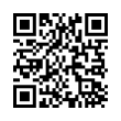 QR Code (код быстрого отклика)