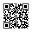 QR Code (код быстрого отклика)