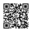 QR Code (код быстрого отклика)