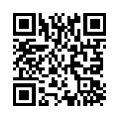 QR Code (код быстрого отклика)