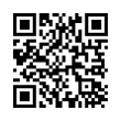 QR Code (код быстрого отклика)