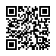 QR Code (код быстрого отклика)