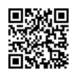 QR Code (код быстрого отклика)