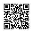 QR Code (код быстрого отклика)