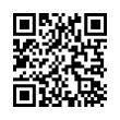 QR Code (код быстрого отклика)