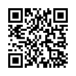 QR Code (код быстрого отклика)