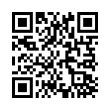 QR Code (код быстрого отклика)