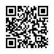 QR Code (код быстрого отклика)