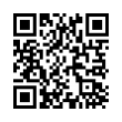 QR Code (код быстрого отклика)