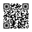 QR Code (код быстрого отклика)