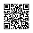 QR Code (код быстрого отклика)