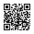 QR Code (код быстрого отклика)