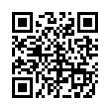 QR Code (код быстрого отклика)