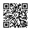 QR Code (код быстрого отклика)