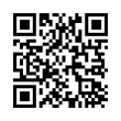 QR Code (код быстрого отклика)