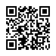 QR Code (код быстрого отклика)