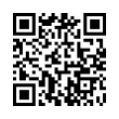 QR Code (код быстрого отклика)