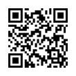 QR Code (код быстрого отклика)