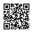 QR Code (код быстрого отклика)