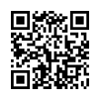 QR Code (код быстрого отклика)