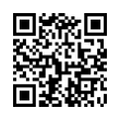 QR Code (код быстрого отклика)