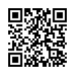 QR Code (код быстрого отклика)