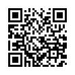 QR Code (код быстрого отклика)