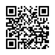 QR Code (код быстрого отклика)