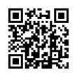 QR Code (код быстрого отклика)
