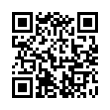 QR Code (код быстрого отклика)