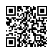 QR Code (код быстрого отклика)