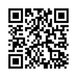 QR Code (код быстрого отклика)