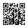 QR Code (код быстрого отклика)