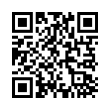 QR Code (код быстрого отклика)