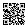 QR Code (код быстрого отклика)